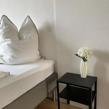 Hegau Boardinghouse Habitación en casa particular Singen