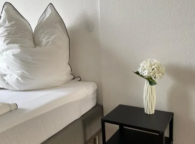 Hegau Boardinghouse Alloggio in famiglia Singen