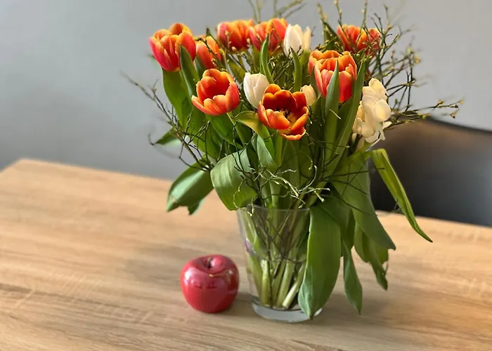 Hegau Boardinghouse Singen